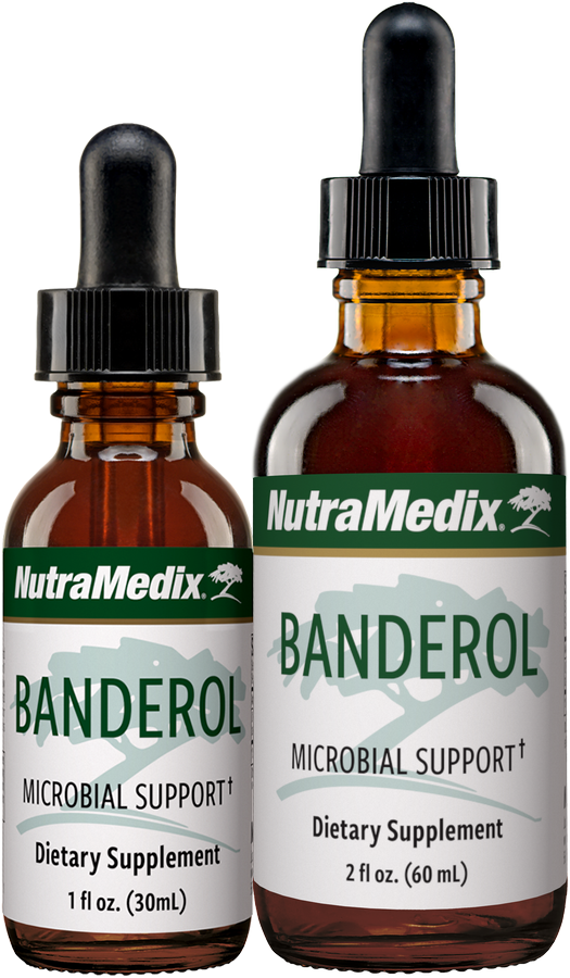 Banderol